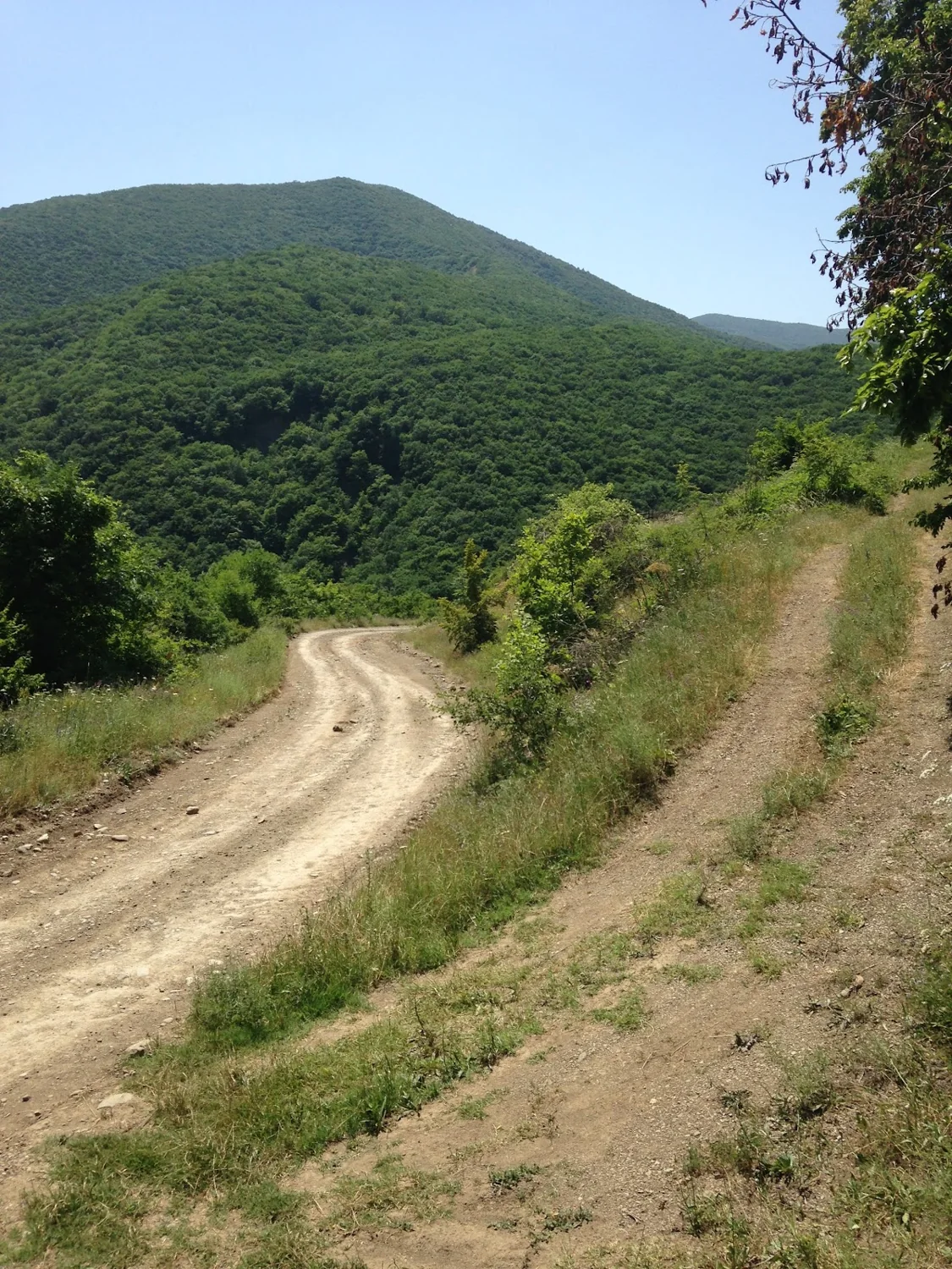 Curving dirt road and narrow parallel path beneath forested hills