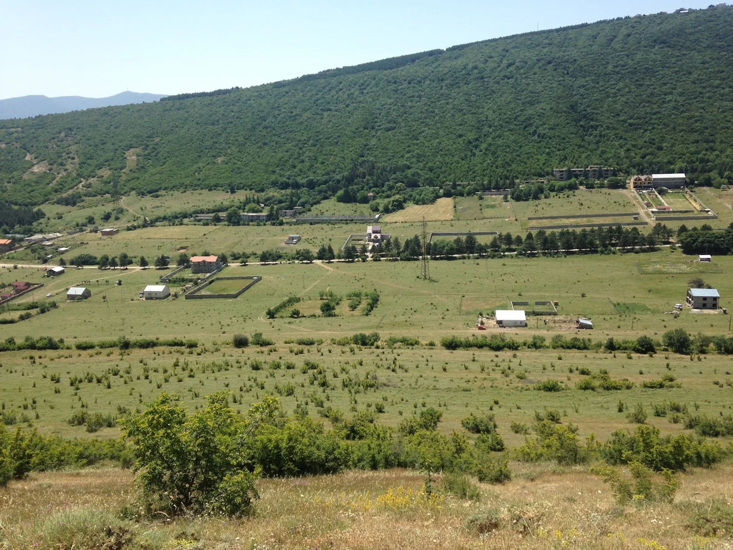 Open valley with scattered buildings below a wooded hillside