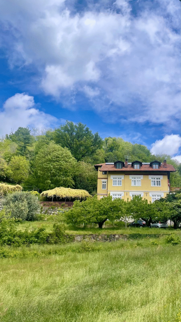 Property Dreams and Realities